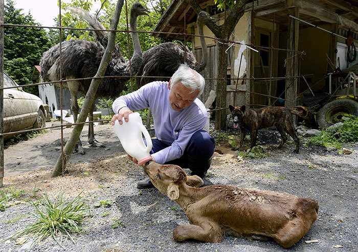 naoto y becerro