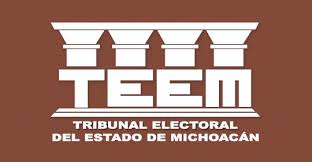 teem logo