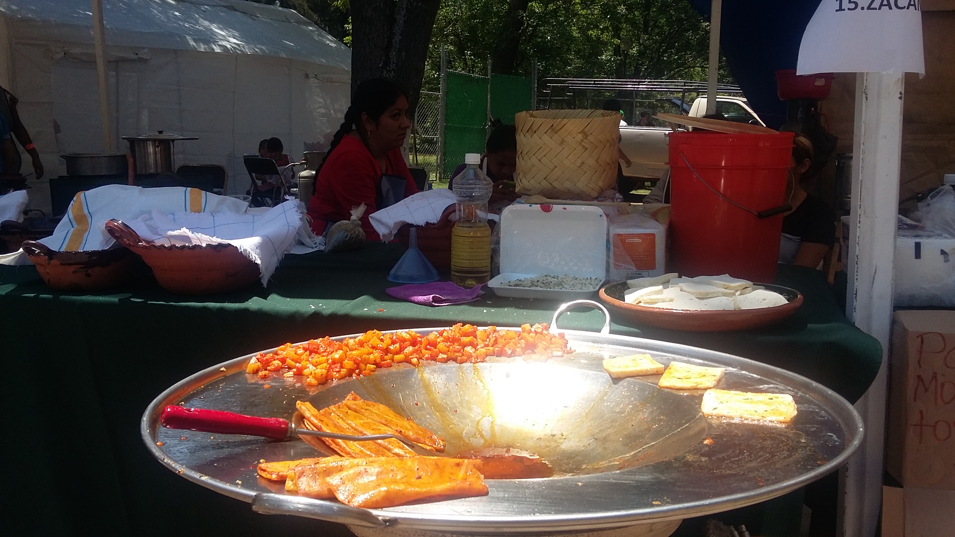 20150410_135603 - copia