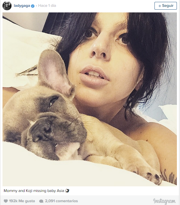 Gaga con su perrito