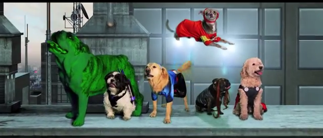 avengers perros