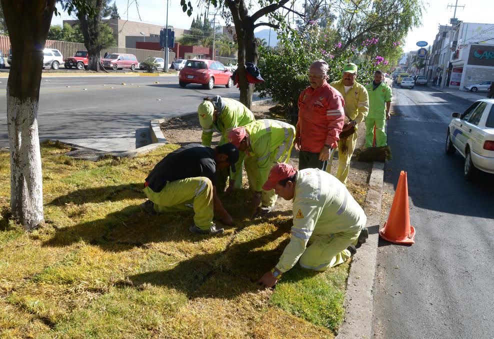 ayuntamiento morelia jardines