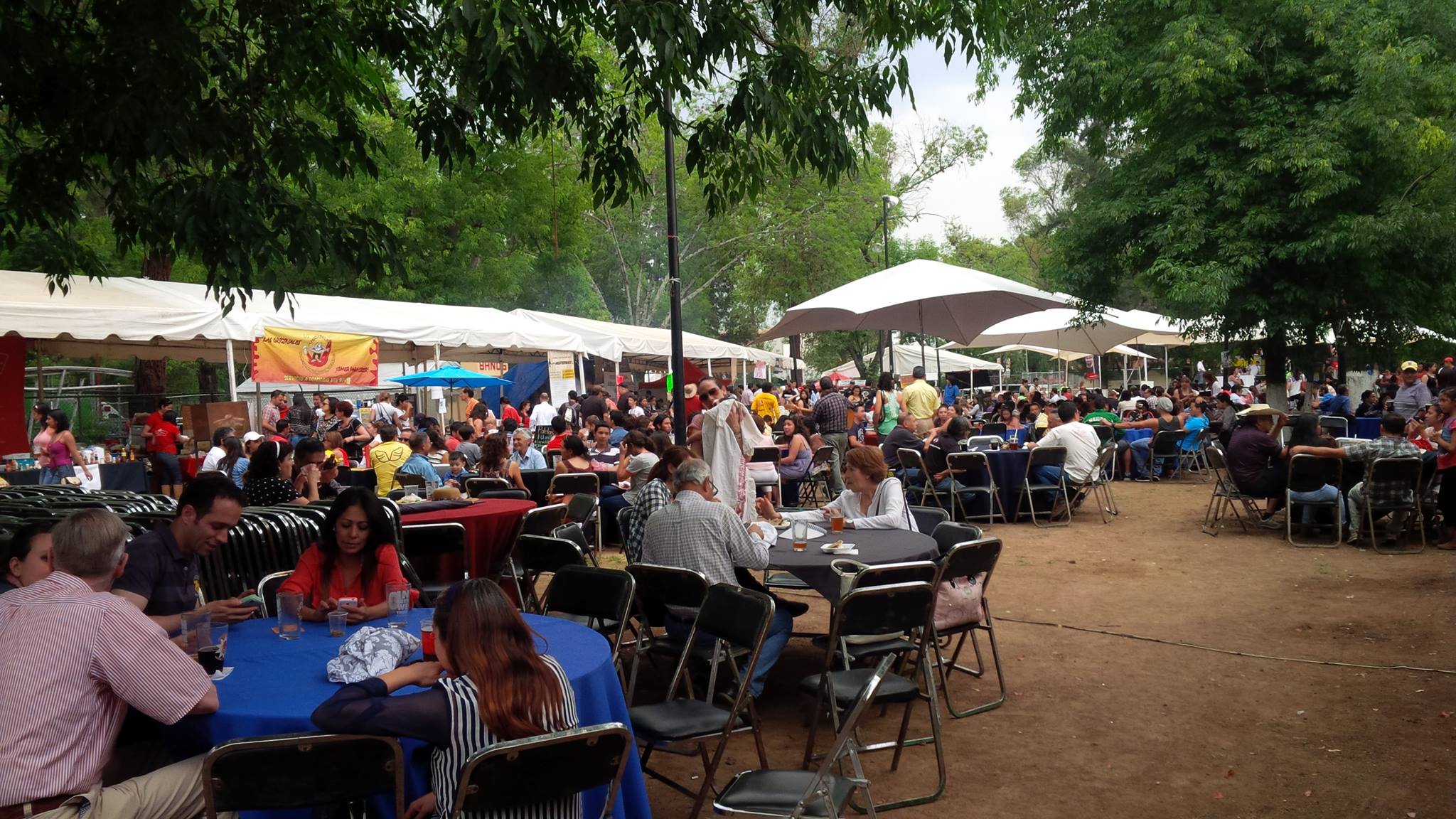 fgcmichoacan 2015 publico 2