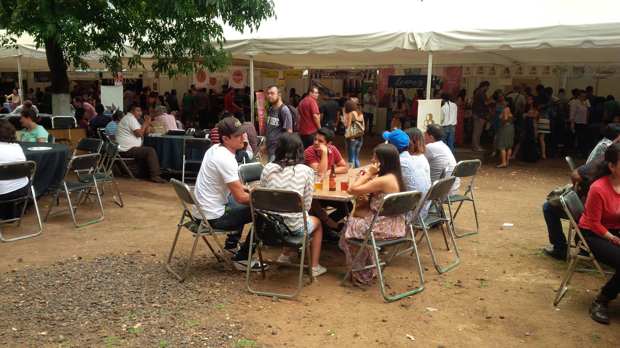 fgcmichoacan 2015 publico