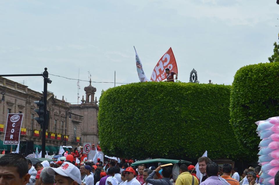 Gente en los árboles