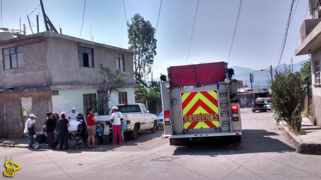 brigadistas Cocoa ataque abejas