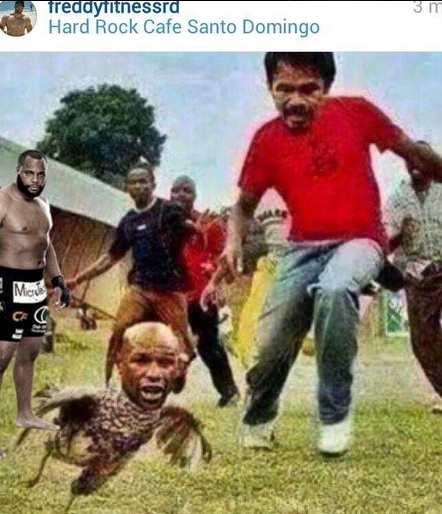 mayweather memes 9