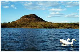 presa la luz
