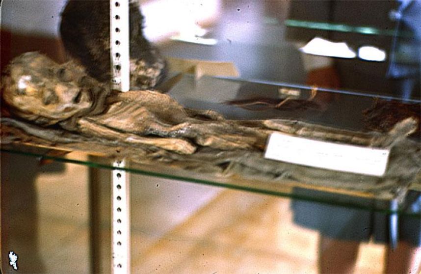 pruebas de extraterrestres maussan