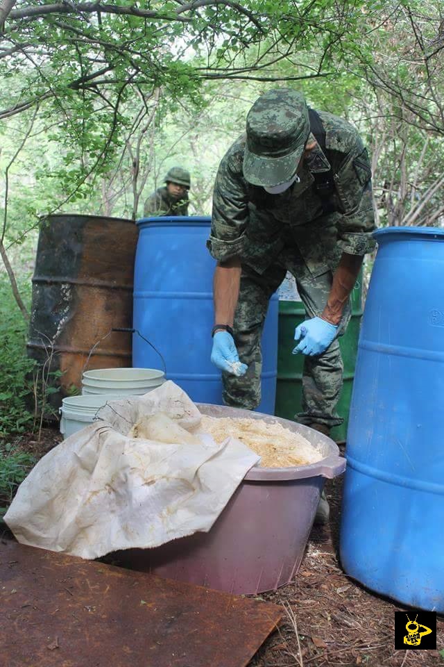 TIERRA CALIENTE En menos de una semana destruyen 4 narcococinas en la Tierra Caliente (2)