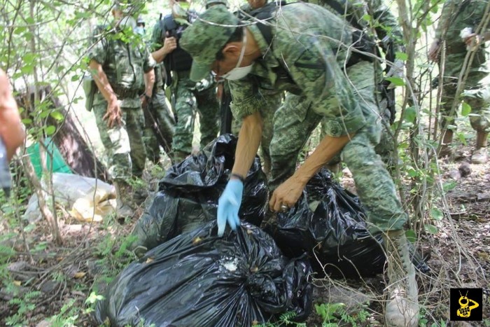 TIERRA CALIENTE En menos de una semana destruyen 4 narcococinas en la Tierra Caliente (4)
