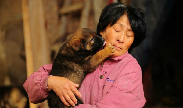 Yang Xiaoyun salva a perros en China