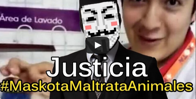 anonnymous ultimatum a maskota