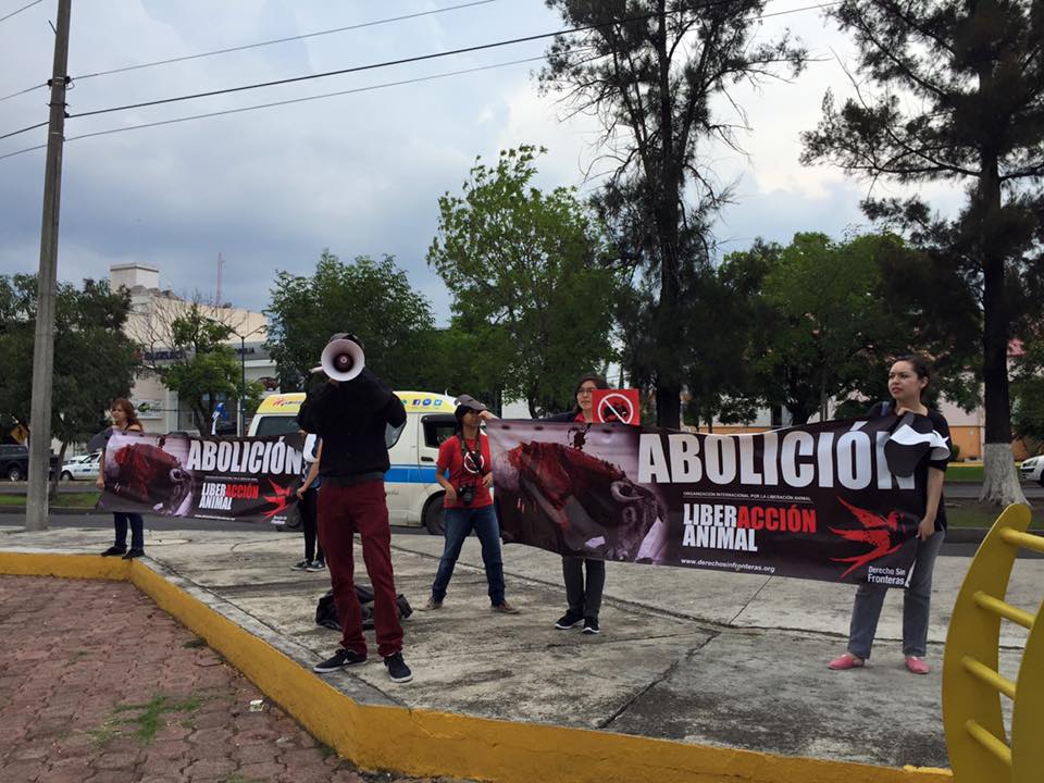antitaurinos 27 jun