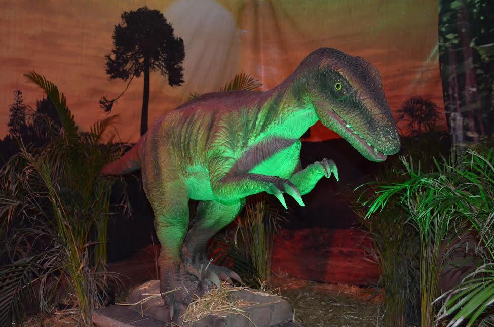 dinosaurios morelia 1