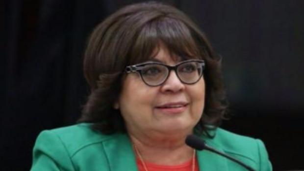 diputada selma guadalupe gómez