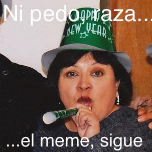 memes diputada