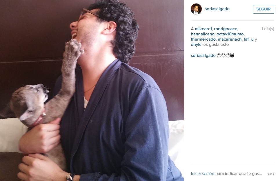 priista puma instagram 2
