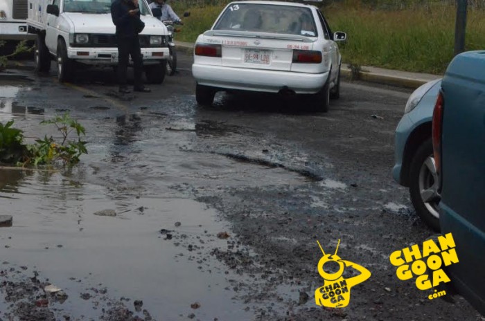 Bache-Morelia-Héroes-Anónimos_