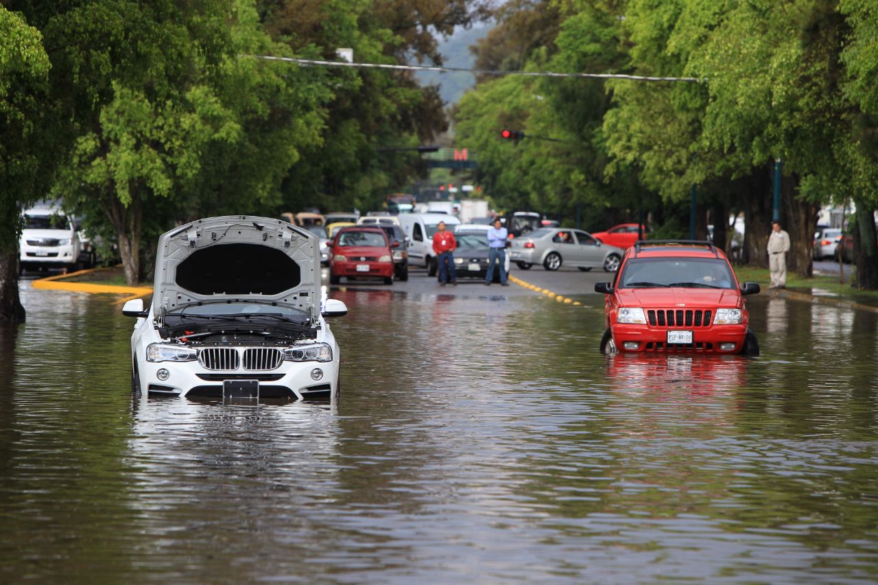 Camelinas inundada