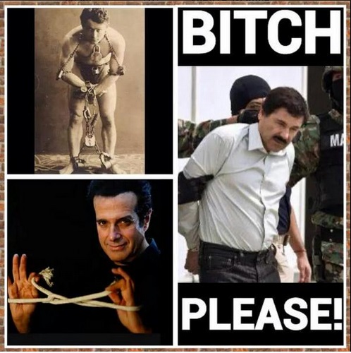 meme fuga El Chapo 2