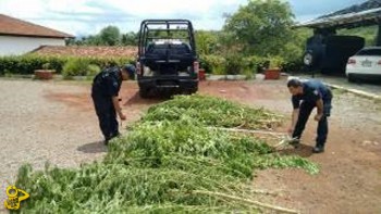 mota-Policia-Federal