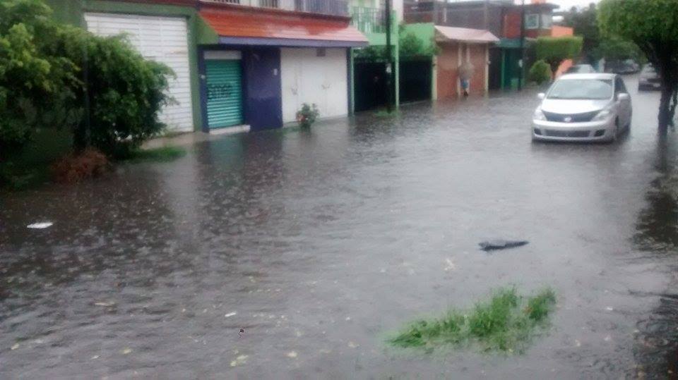 Paseo del Cedro. Foto: Fabricio Carbajal