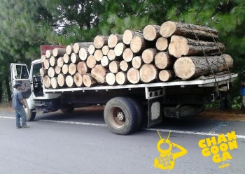camion-con-madera-Salvador-Escalante