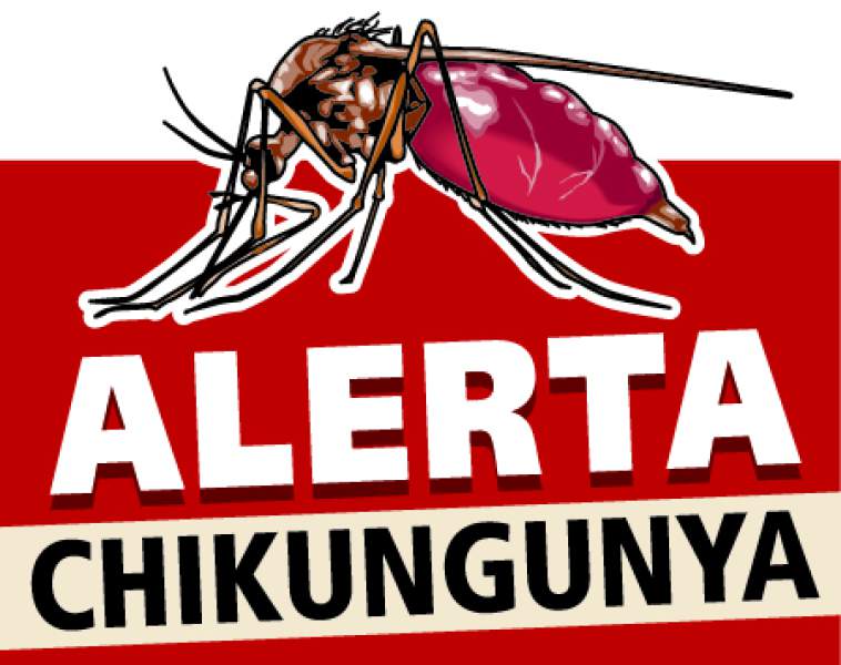 chikungunya alerta 2