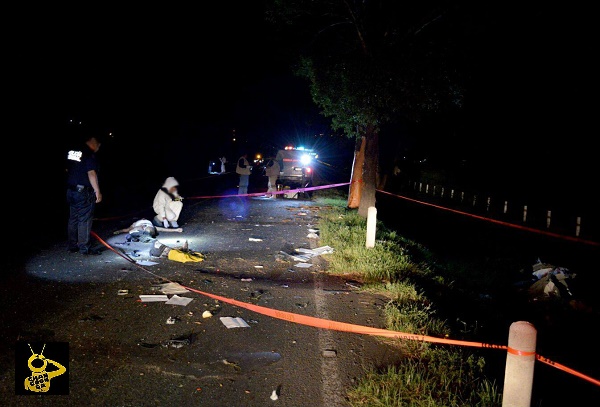 MORELIA Auto se parte en 4 al chocar contra árbol de Eucalipto hay dos muertos (2)