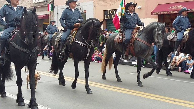 desfile-septiembre-Morelia-2015-10
