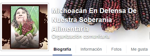 organización comunitaria