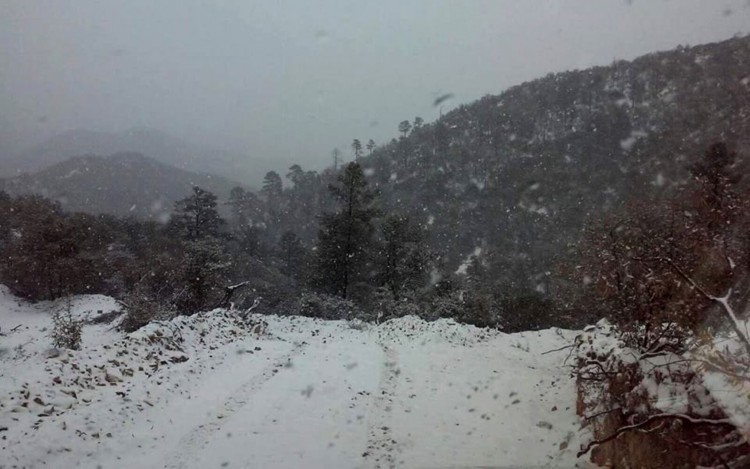 TANCITARO Se viste de blanco el cerro de Tancítaro (11)