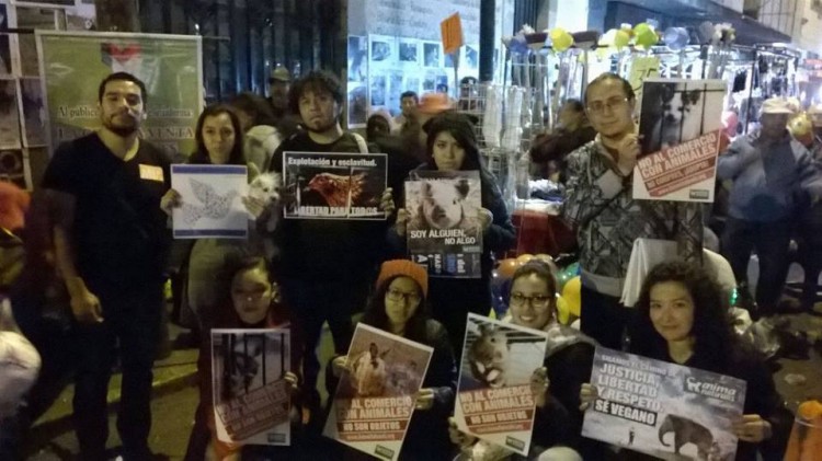 animalistas morelianos se manifiestan en el audi
