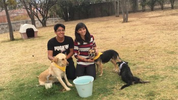 adopcion-perros