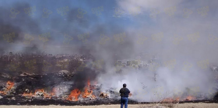 morelia-incendio-parque-bicentenario
