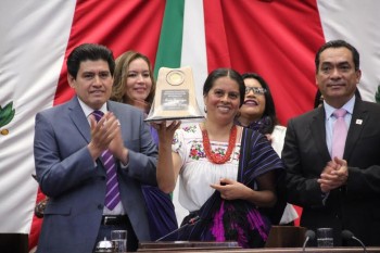 congreso guadalupe hernandez