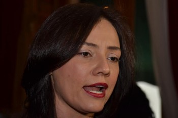 diputada Adriana Hernández Íñiguez