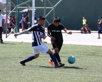 futbol