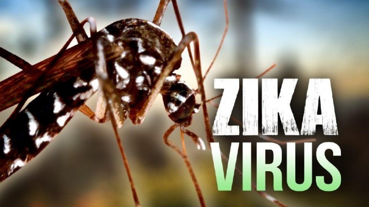virus del zika