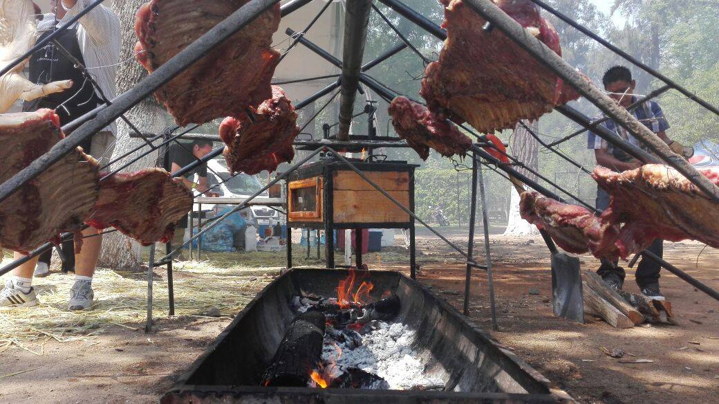 gastro 2016 6