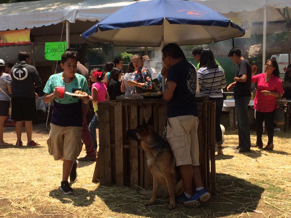 gastrocervecero 2016 4