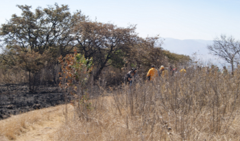 incendio cerro del quinceo