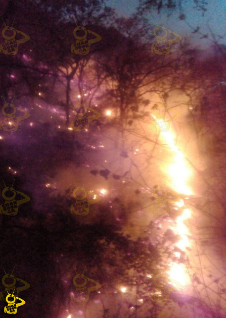 incendio-forestal-cerro-Zinapecuaro-5