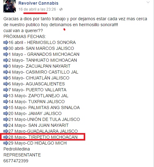 tiripetío revolver cannabis 4