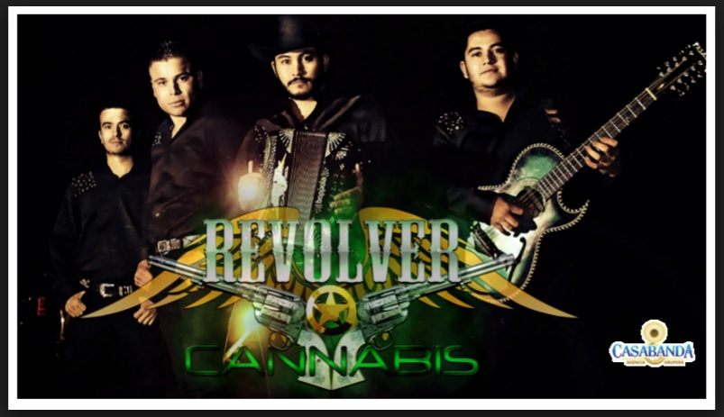 tiripetío revolver cannabis 5