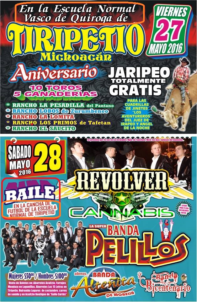 tiripetío revolver cannabis