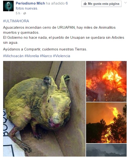 uruapan incendios tendencia 5