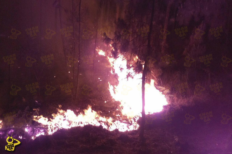 Uruapan-incendio-2