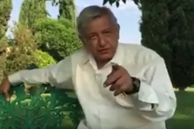 amlo